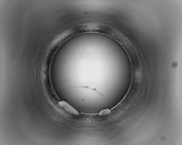 X0000102350732200808011203