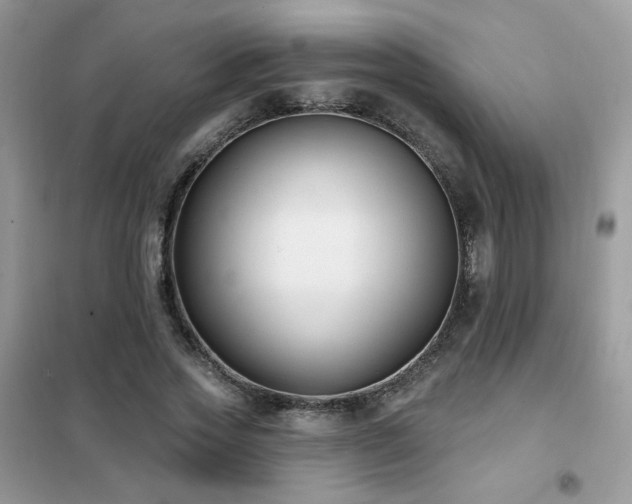 X0000102350733200808011203