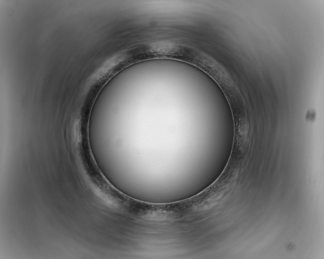 X0000102350734200808011203