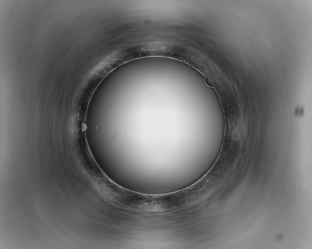 X0000102350735200808011203