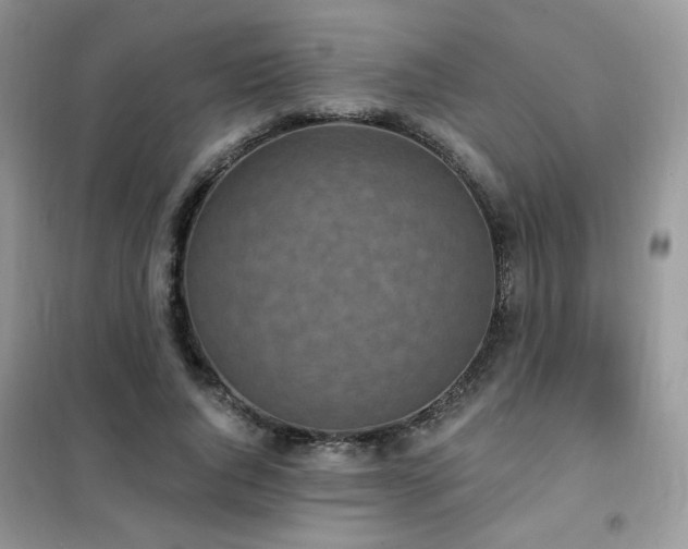 X0000102350736200808011203