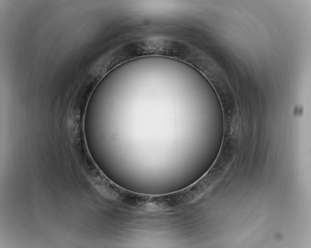 X0000102350737200808011203