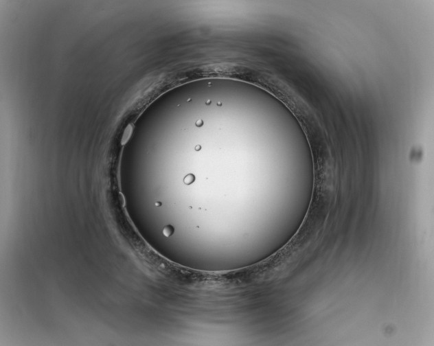 X0000102350738200808011203