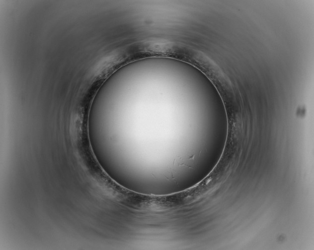 X0000102350739200808011203