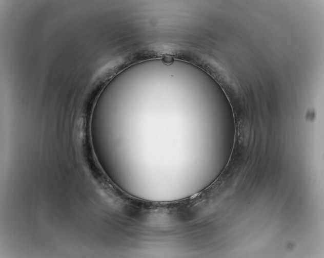 X0000102350740200808011203