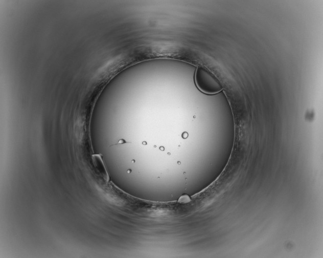 X0000102350741200808011203