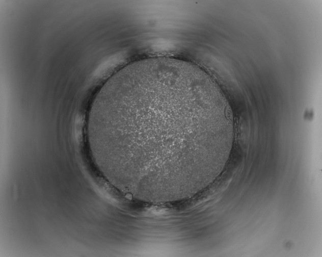 X0000102350742200808011203