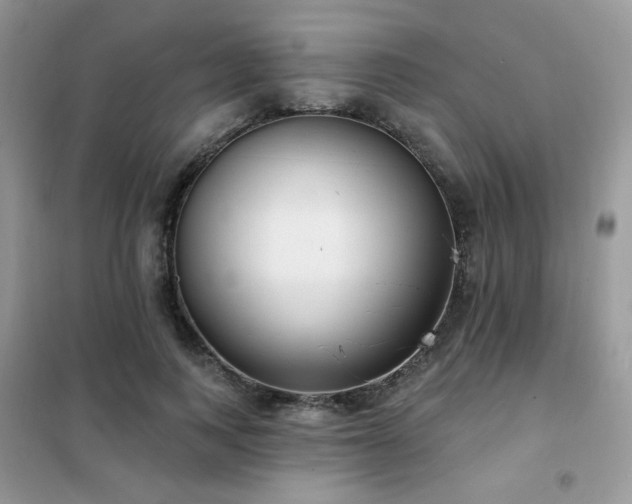 X0000102350743200808011203