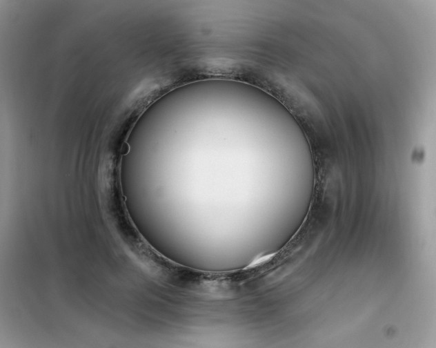 X0000102350744200808011203