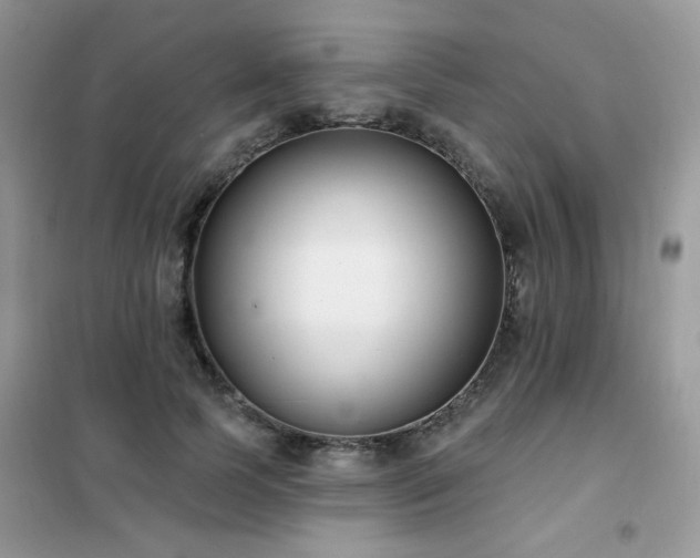 X0000102350745200808011203