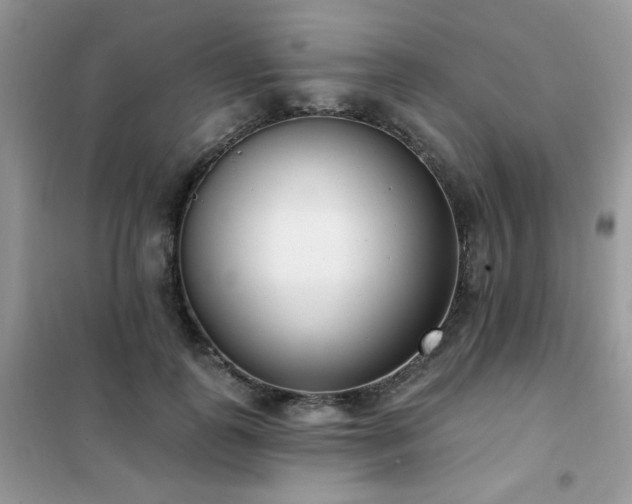 X0000102350747200808011203