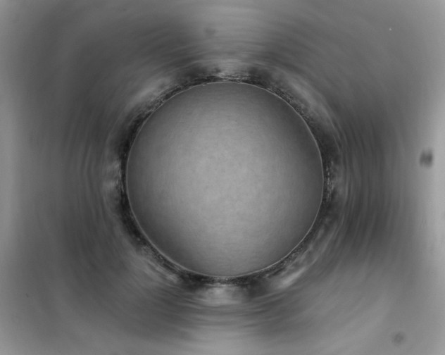 X0000102350748200808011203