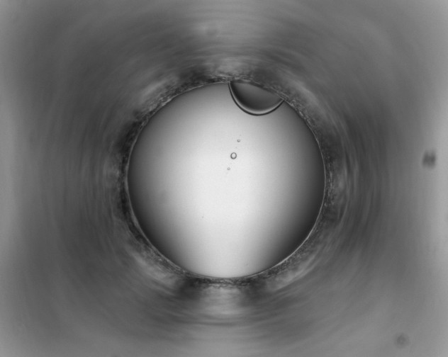 X0000102350749200808011203