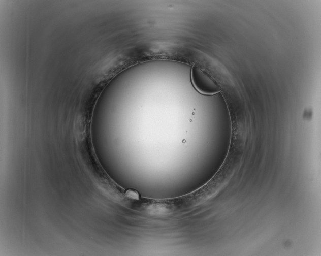 X0000102350751200808011203