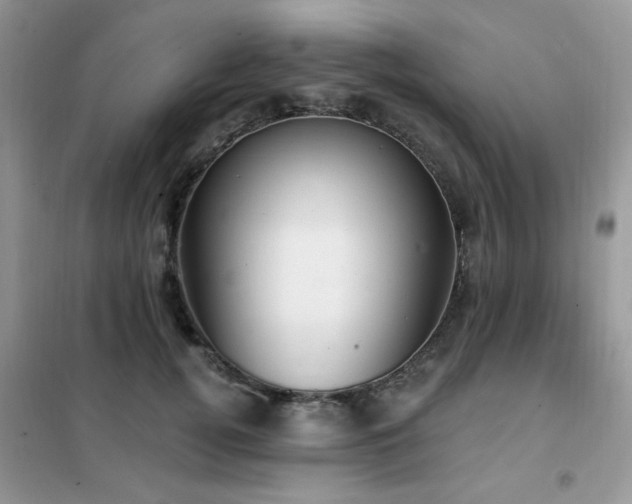 X0000102350752200808011204