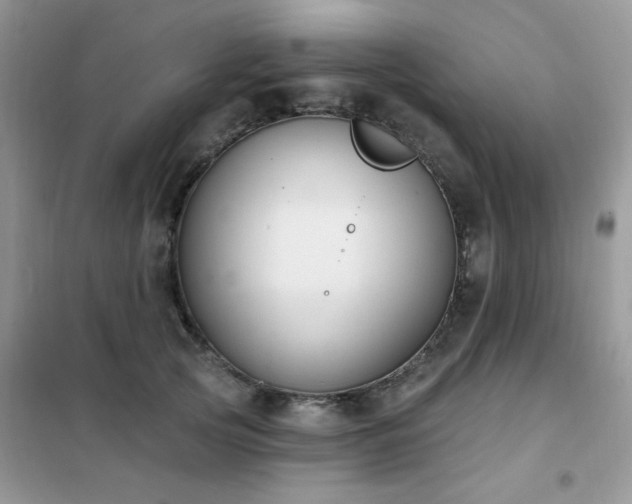 X0000102350753200808011204