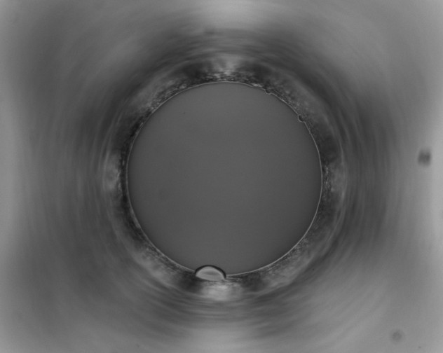 X0000102350754200808011204