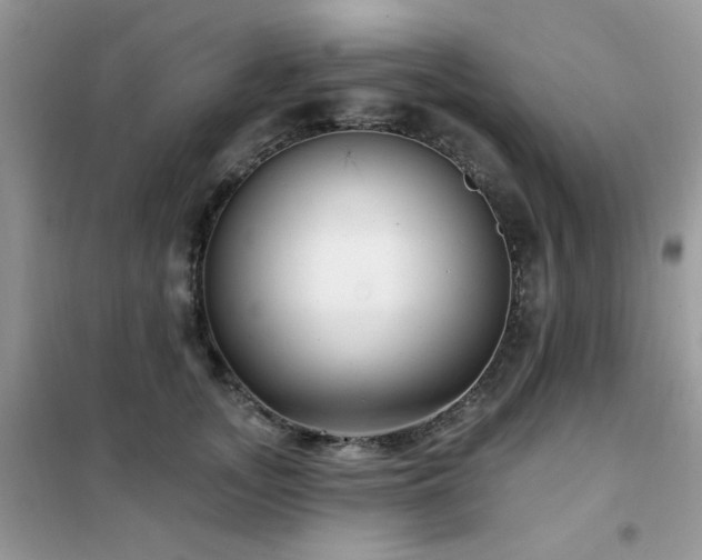 X0000102350755200808011204