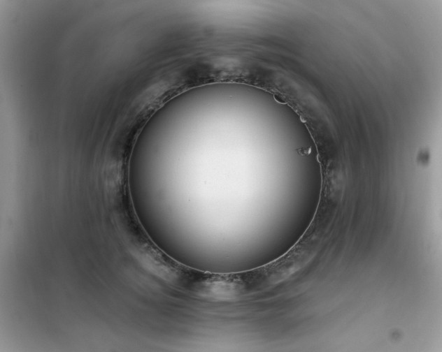 X0000102350756200808011204