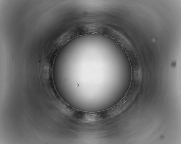 X0000102350757200808011204