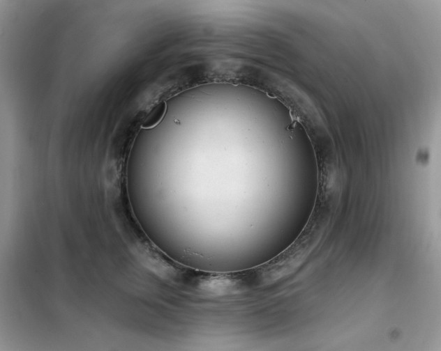 X0000102350759200808011204