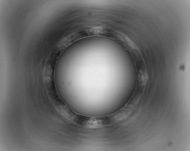 X0000102350760200808011204