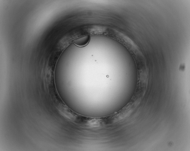 X0000102350761200808011204