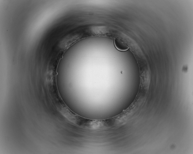 X0000102350762200808011204