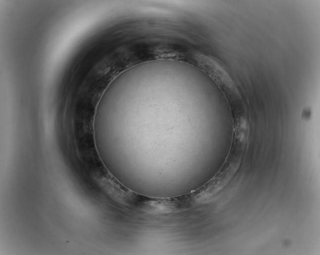 X0000102350763200808011204