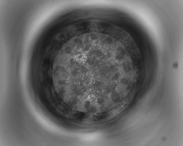 X0000102350765200808011204