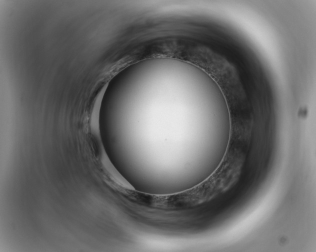 X0000102350766200808011204