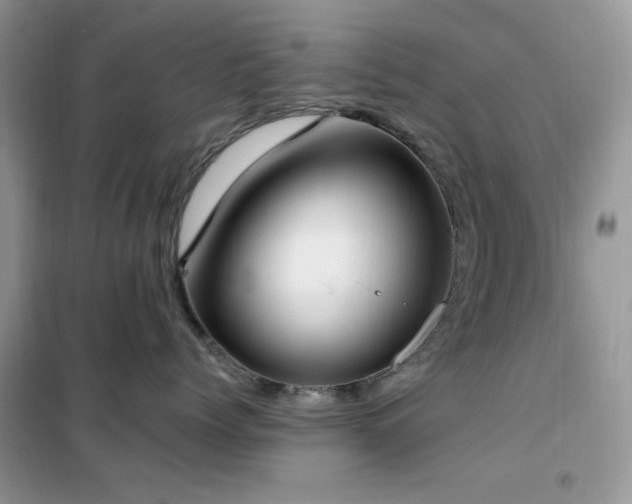 X0000102350768200808011204