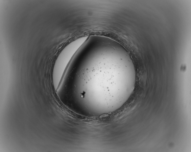 X0000102350769200808011203