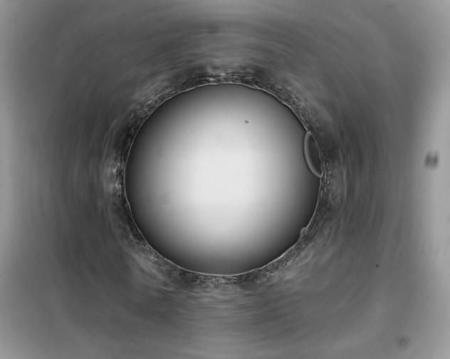 X0000102350770200808011203