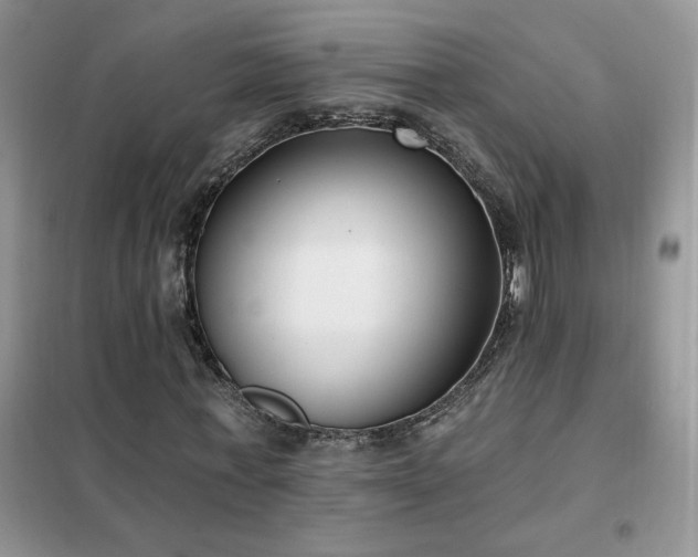 X0000102350771200808011203