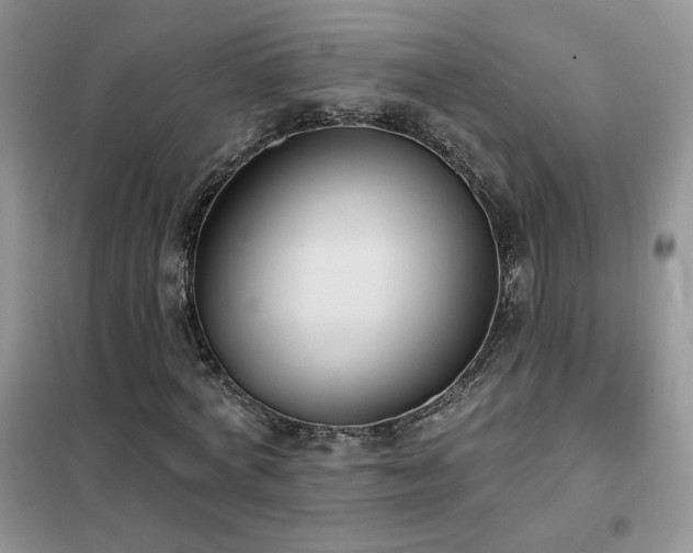 X0000102350772200808011203