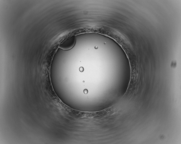 X0000102350773200808011203