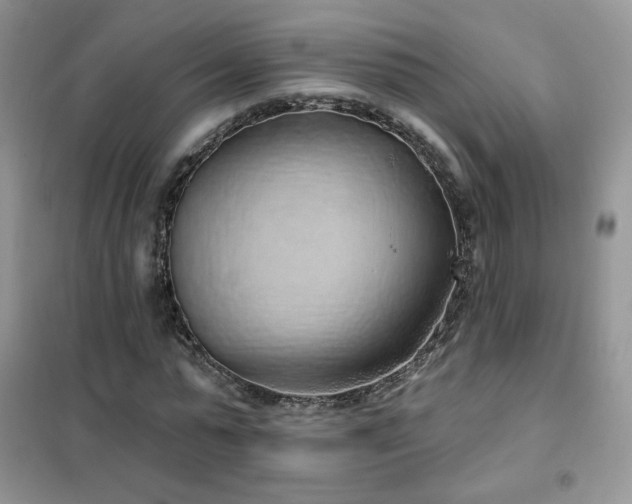 X0000102350775200808011203