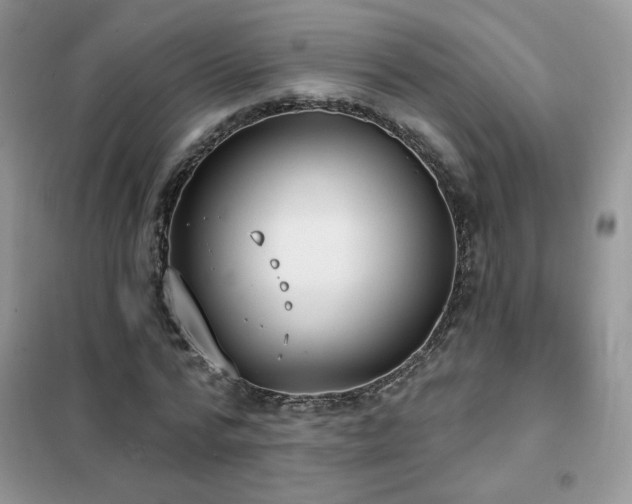 X0000102350776200808011203