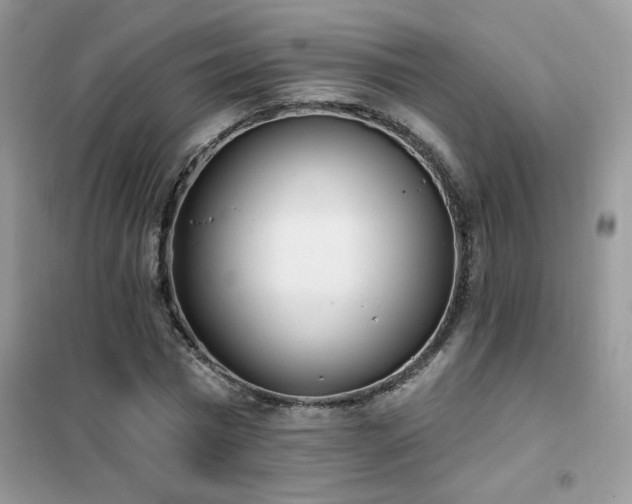 X0000102350777200808011203