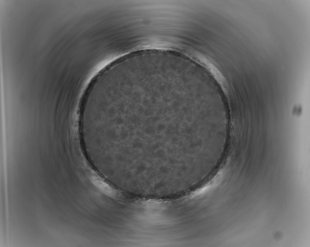 X0000102350779200808011203