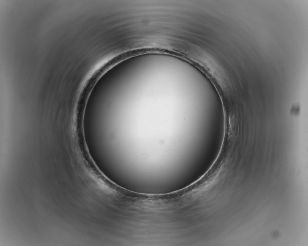 X0000102350780200808011203