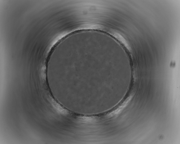 X0000102350781200808011203