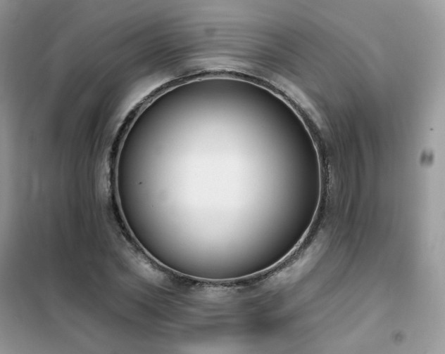 X0000102350782200808011203