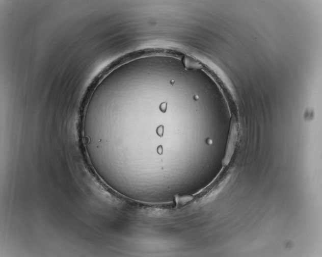 X0000102350783200808011203