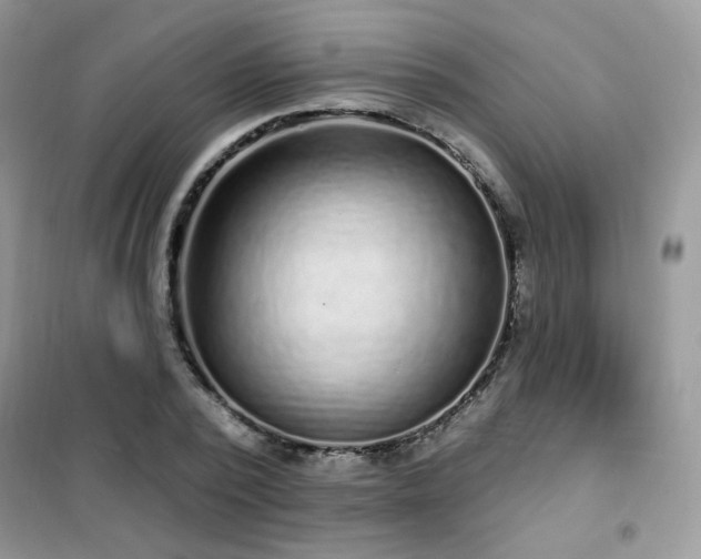 X0000102350784200808011203