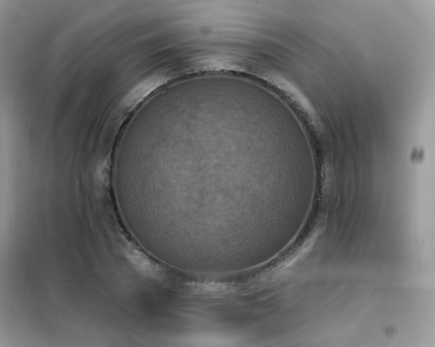 X0000102350785200808011203