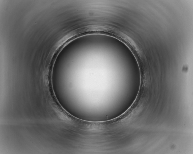 X0000102350786200808011203