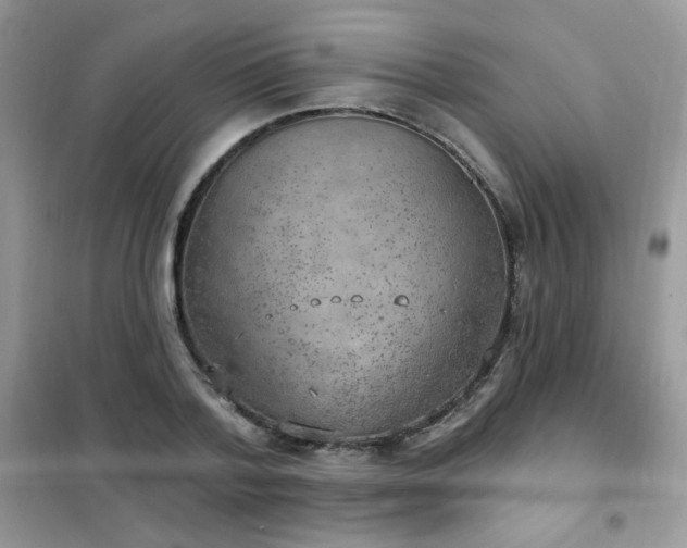 X0000102350788200808011203