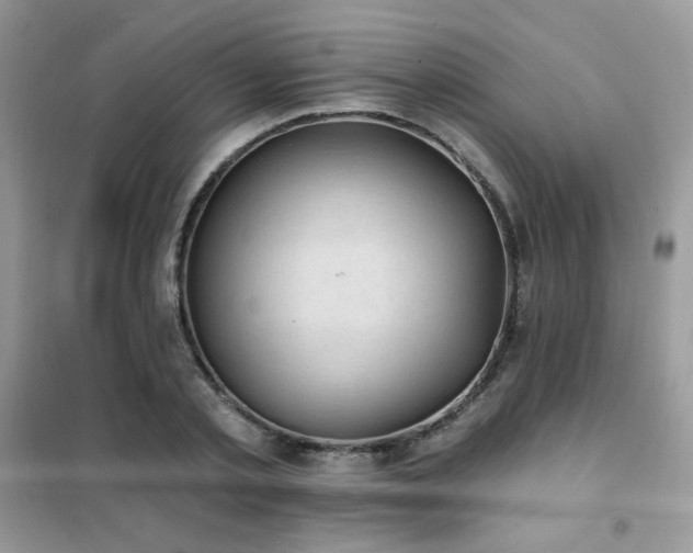 X0000102350789200808011203